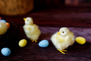 Sarı civciv ve yumurtalı Paskalya arkaplanı. Paskalya tatili