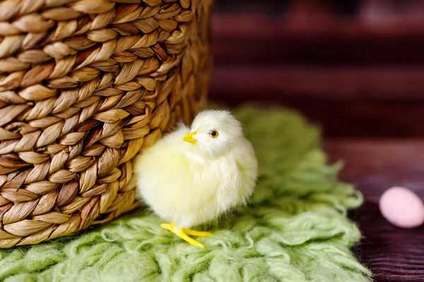 Fondo Pascua Con Pollitos Amarillos Huevos Vacaciones Pascua — Foto de Stock