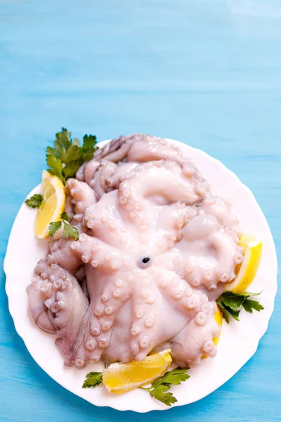 Little Fresh Octopus Blue Background Healthy Delicious Seafood — Stock Photo, Image