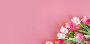 Bouquet of pink tulips flowers on pastel pink background.