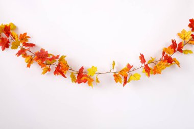 Thanksgiving background. Autumn colorful season.