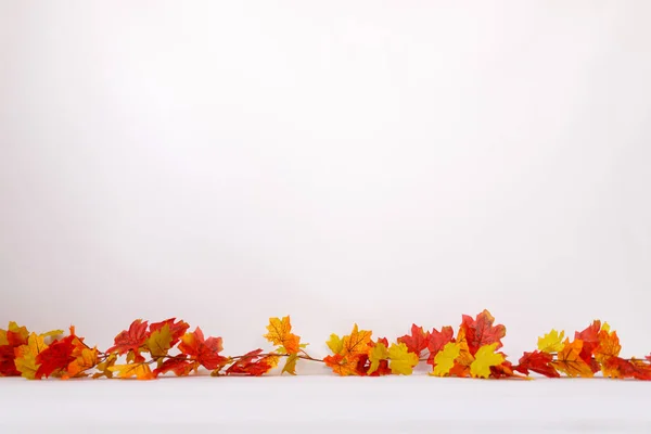 Newborn Digital Backdrop Fall Items Autumn Background — 스톡 사진