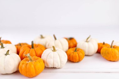 Beyaz üzerine sonbahar süslemesi ve kopyalama alanı. Sonbahar, Cadılar Bayramı, Şükran Günü.