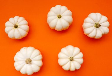 Cadılar Bayramı düz kompozisyonu siyah kağıt yarasalar ve turuncu arka planda balkabakları. Cadılar Bayramı konsepti.