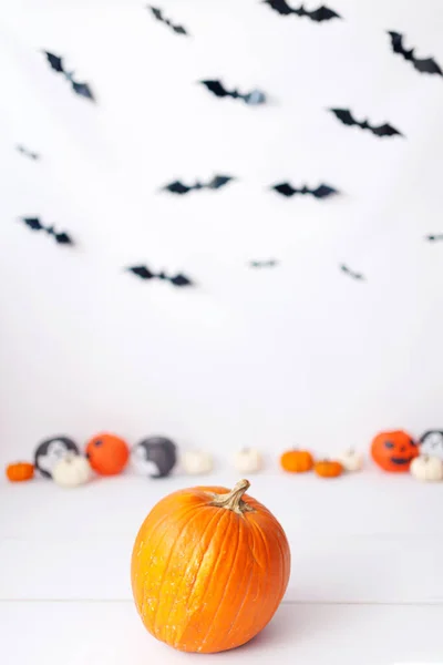 Decoraciones Halloween Sobre Fondo Blanco Concepto Halloween —  Fotos de Stock
