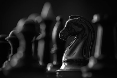 chess pieces on a chessboard, the white queen defeated the black king