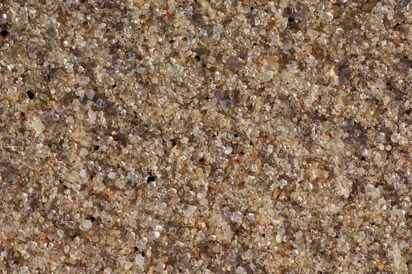 棕砂的宏观纹理 — 图库照片