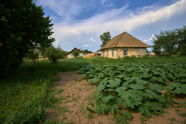 Maison Campagne Près Dans Village Ukraine — Photo