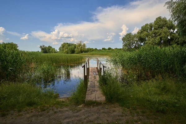 Ukrayna 'da bir göl üzerinde küçük bir köprüsü olan manzara