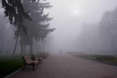 Chernihiv, Ukrayna 'daki banklarla parkta sisli bir sabah.