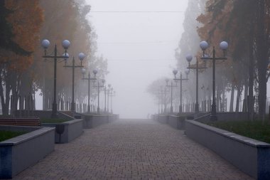 Chernihiv, Ukrayna 'da sokak lambalarıyla parkta sisli bir sabah.
