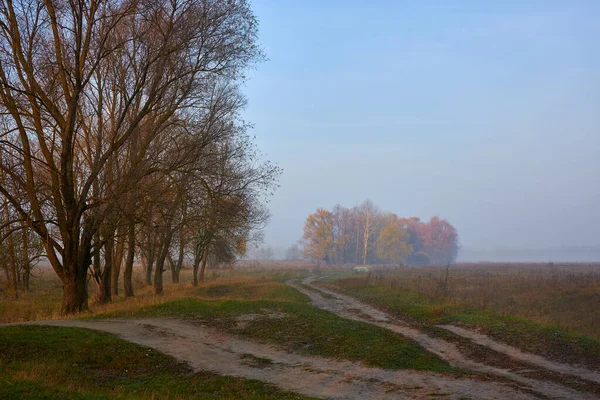 Ukrainian Morning Landscape Trees Autumn — Zdjęcie stockowe