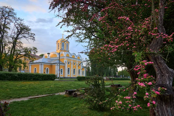 Church Michael Fedir Hawthorn Sunset Chernihiv Ukraine — стокове фото