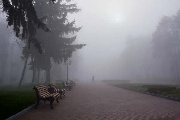 Misty Morning Park Benches Chernihiv Ukraine — Zdjęcie stockowe