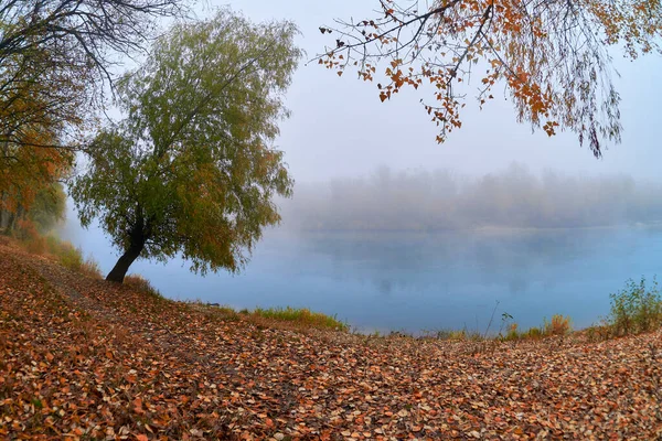 Misty Morning Desna River Chernihiv Ukraine — Fotografia de Stock