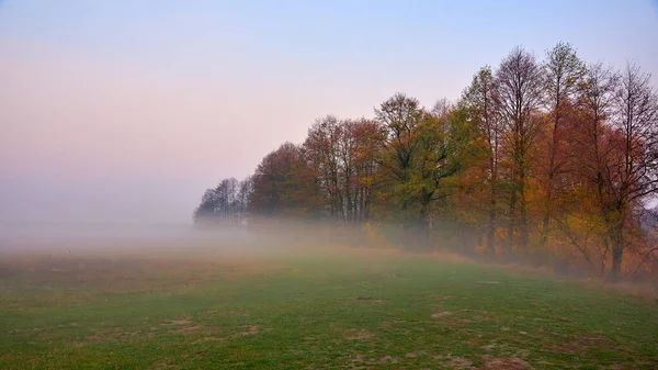 Украинский Туманный Утренний Пейзаж Деревьями Осенью — стоковое фото