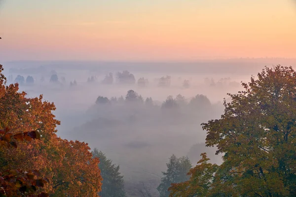 Утренний Туман Над Долиной Восходе Солнца Украине — стоковое фото