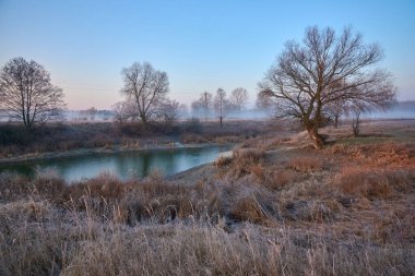 Ukrayna 'da soğuk bir sabah