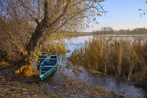 Две Лодки Кустах Реке Осенью Мониторят Украине — стоковое фото