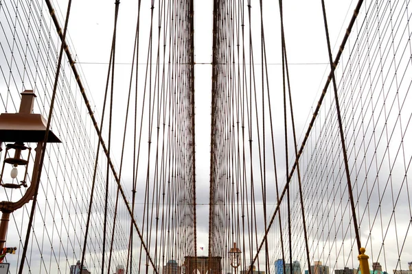 Los Cables Soportes Del Puente Brooklyn — Foto de Stock