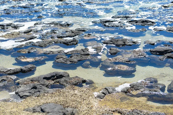 Stromatoliter Vid Shark Bay Sydvästra Australien — Stockfoto