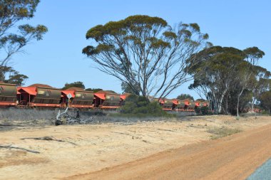 Güneybatı Avustralya 'dan geçerek kömür taşıyan uzun tren..
