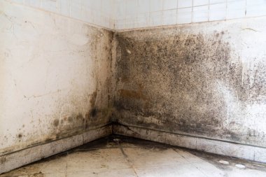 renovation of an old wall with tiles and mould