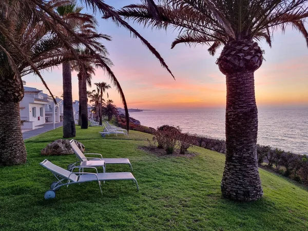 Ogród Plaży Palmami Leżakiem Pięknym Widokiem Morze Śródziemne Podczas Wschodu — Zdjęcie stockowe