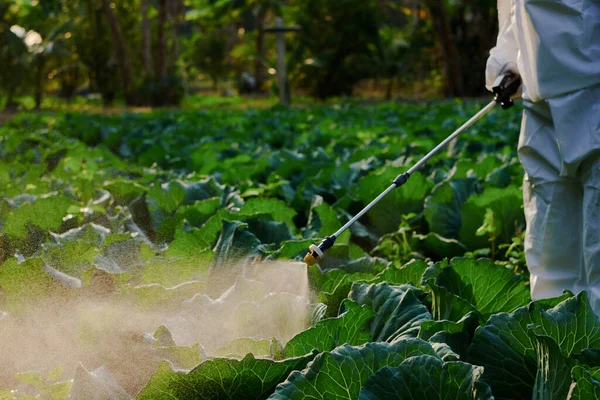 Jardinero Spray Traje Protector Insecticida Química Planta Vegetal Col — Foto de Stock