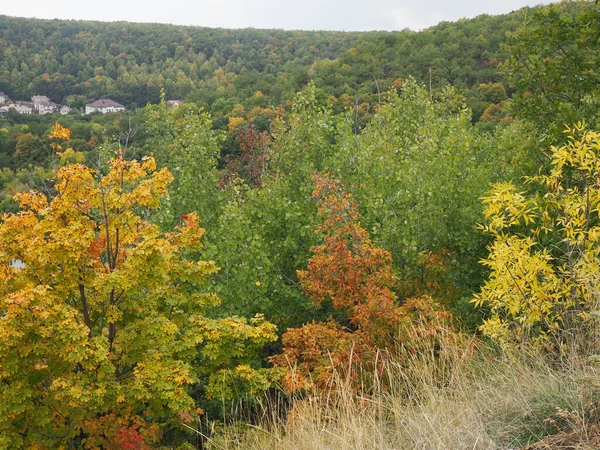 Paysage Avec Forêt Colorée Début Automne — Photo