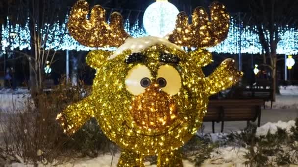 Russia Saratov December 2020 Character Cartoon Smeshariki Street Decoration Night — Stock Video