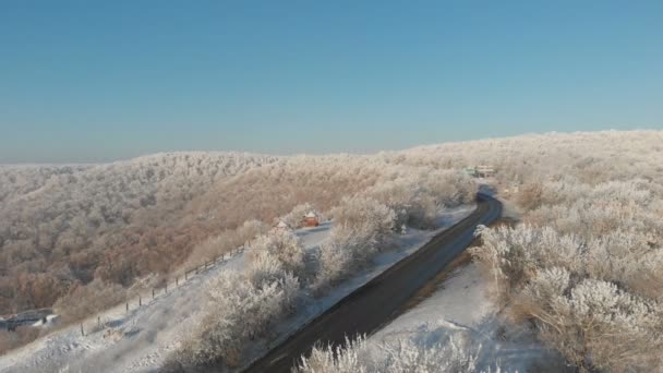 Вид Воздуха Автомобильную Дорогу Зимой Покрытый Снегом Сосновый Лес Летаю — стоковое видео