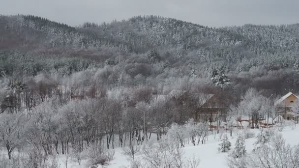 Paesaggio Invernale Con Campi Innevati Alberi Villaggio Sfondo Cielo Nuvoloso — Video Stock