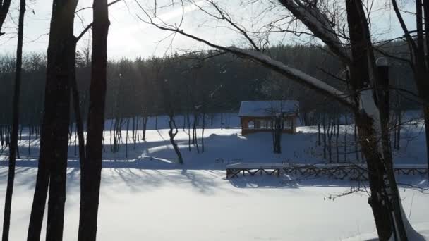 Bellissimo Paesaggio Invernale Con Patio Legno Una Giornata Soleggiata Gelida — Video Stock