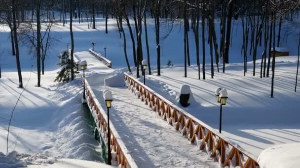 Prachtig Winterlandschap Het Park Bevroren Vijver Brug — Stockvideo