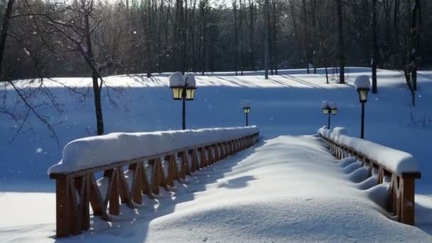 Wunderschöne Winterlandschaft Park Zugefrorener Teich Und Brücke — Stockvideo