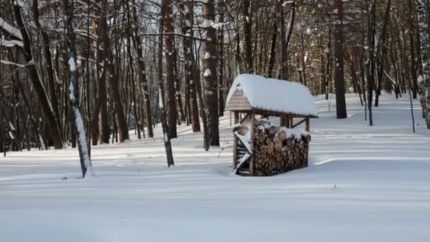 Hermosa pila de madera como una decoración exterior ecológica en un parque de invierno en un día soleado — Vídeos de Stock