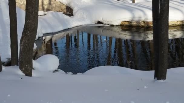 눈 덩이를 통해 흐르는 맑은 물의 흐름을 요약한다. 얼음이 녹고 자연이 깨어나는 봄. 광야의 맑은 물 — 비디오