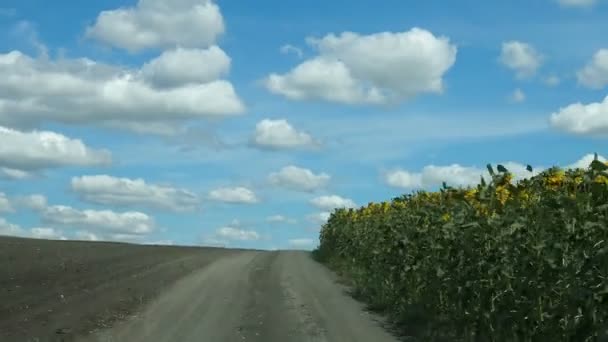 Vista Pára Brisas Trator Que Conduz Numa Estrada Rural Acidentada — Vídeo de Stock