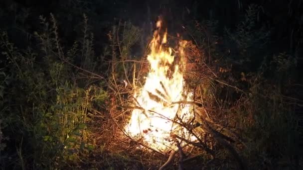 火事だ。そのたき火は森の中で燃える。燃える炎の質感。森の中で料理をするための焚き火。乾燥した枝を燃やす。森の中の観光火災。燃える枝の質感. — ストック動画