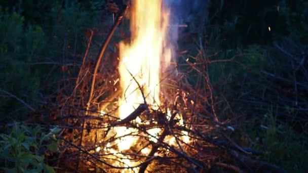 Горящий огонь. Костёр горит в лесу. Текстура пылающего огня. Костер для приготовления пищи в лесу. Горящие сухие ветви. Туристический пожар в лесу. Текстура горящих ветвей. — стоковое видео