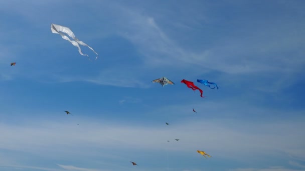 Drachen Auf Dem Hintergrund Des Blauen Himmels Das Festival Tag — Stockvideo