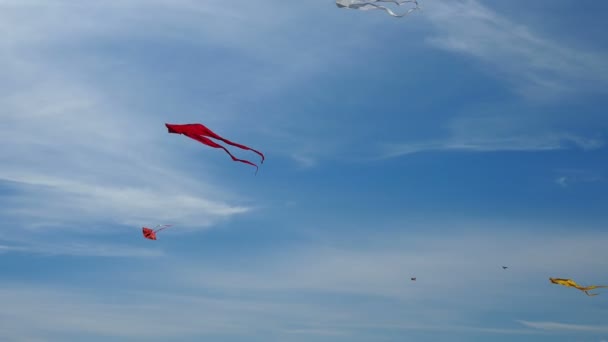 Vliegers Achtergrond Van Blauwe Lucht Het Festival Dag Van Stad — Stockvideo