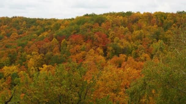 Ein Blick Von Oben Auf Bunte Waldbäume Und Den See — Stockvideo