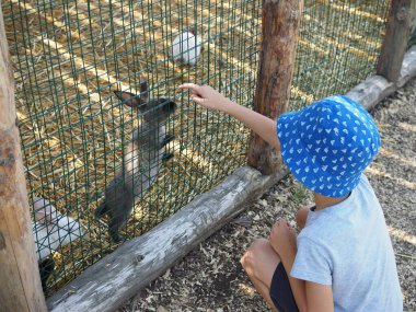 Çocuk dışarıda bir tavşan kafesinin yanında diz çöküyor. Parmaklarını çitteki deliklerden geçirip tavşanları okşamaya çalışıyor.