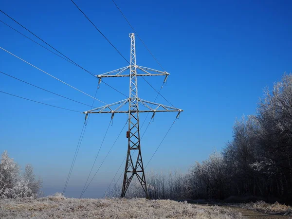 寒い木と黄金の時間で高電圧電源ラインと冬の風景 — ストック写真