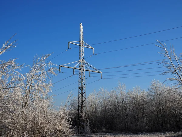 寒い木と黄金の時間で高電圧電源ラインと冬の風景 — ストック写真
