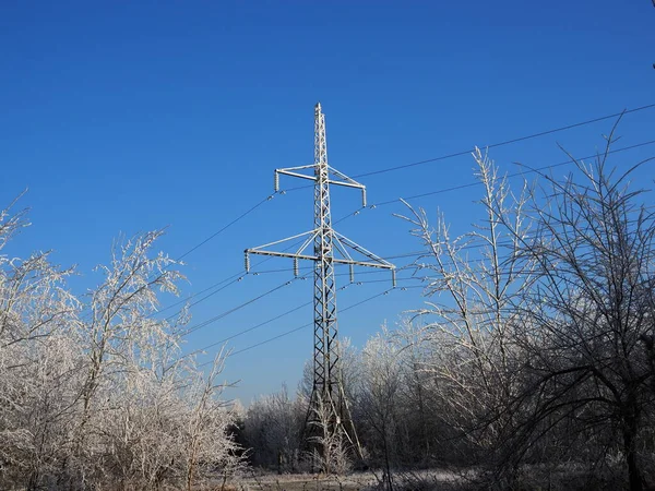 寒い木と黄金の時間で高電圧電源ラインと冬の風景 — ストック写真