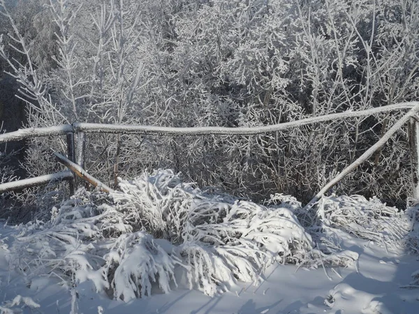 Деревянные Заборы Покрыты Снегом Морозом — стоковое фото