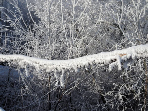 Cercas Madeira São Cobertas Com Neve Geada — Fotografia de Stock